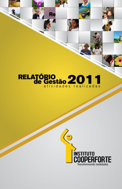 Relatório Anual 2011